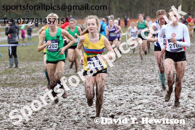 Womens under-17s 2018 British Inter Counties Cross Country Champs., Prestwold Hall, Loughborough. Photo: David T. Hewitson/Sports for All Pics